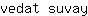 v***y