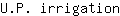 U***n