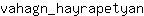 v***n