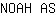 N***S