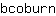 b***n