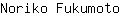 N***o