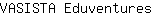 V***s