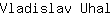 V***l