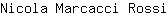 N***i
