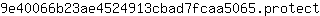 9***t