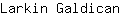 L***n