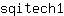 s***1