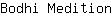 B***n