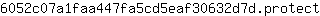 6***t