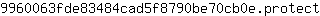 9***t