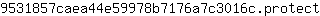 9***t