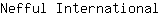 N***l