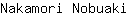 N***i