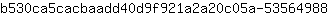b***8