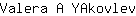 V***v