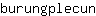 b***n