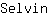 S***n