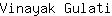 V***i