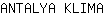 A***A