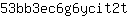 5***t