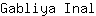 G***l