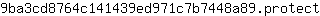 9***t