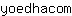 y***m