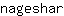 n***r