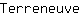 T***e
