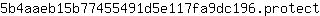 5***t