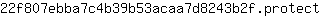 2***t