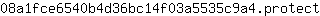 0***t