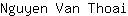 N***i