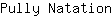 P***n