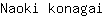 N***i