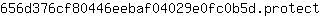 6***t