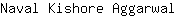 N***l