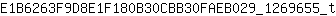 E***t