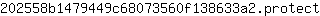 2***t