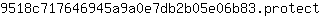 9***t