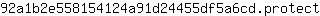 9***t