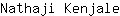 N***e