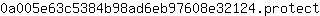 0***t