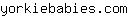 y***m