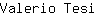 V***i