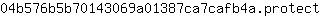 0***t