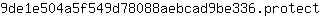 9***t