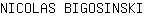 N***I