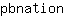 p***n